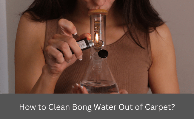 How to Clean Bong Water Out of Carpet?
