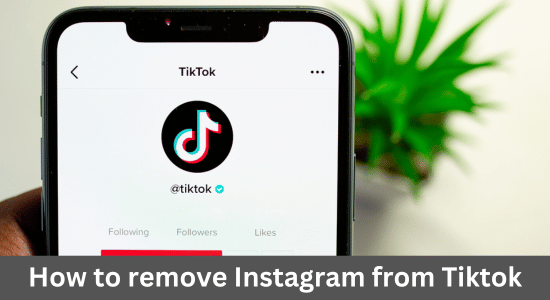 How to remove Instagram from Tiktok